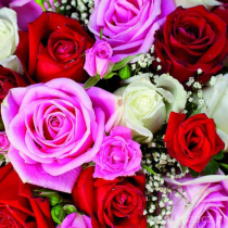 Serwetki aha kwiaty KW 112 a'20 33cm 