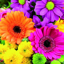 Serwetki aha kwiaty KW 113 a'20 33cm