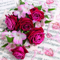 Serwetki aha kwiaty KW 115 a'20 33cm 