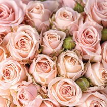 Serwetki aha kwiaty KW 121 a'20 33cm