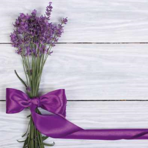 Serwetki aha kwiaty KW 77 a'20 33cm karton 